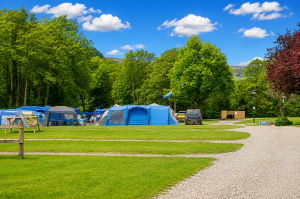 tents4